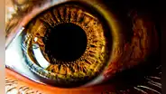Estudio científico plantea el uso de nanopartículas de oro para restaurar la vista mediante "una nueva prótesis de retina"
