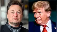 Elon Musk renunció a la administración de Donald Trump tras "decepcionarse" de su política fiscal para Estados Unidos