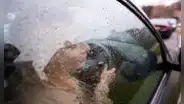 ¿Cómo mejorar la visibilidad de tu vehículo de noche o bajo la lluvia?: consejos prácticos y efectivos