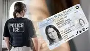 ¿Nueva York ya no sería 'ciudad santuario' en EEUU? ICE arresta a inmigrantes con licencia de conducir y Real ID