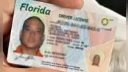 Adiós a la licencia de conducir: Florida multará y retendrá el carné a conductores que no cumplan con esta indicación