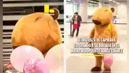 Hombre va disfrazado de capibara al nuevo aeropuerto Jorge Chávez para recibir a su ahijada que llega a Perú