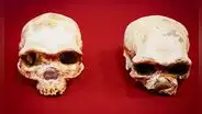 El cráneo hallado en China que desconcierta a científicos: tiene 300.000 años y no coincide con ninguna especie humana conocida