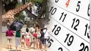 Este es el primer feriado de junio 2025 en Perú, según El Peruano: trabajadores públicos y privados que laboren recibirán un pago extra