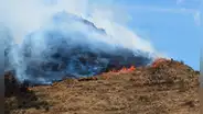 Cusco perdió más de 111 mil hectáreas de bosque en los últimos años