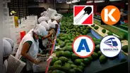 Ley Chlimper 2.0 aprobada: así votaron las bancadas para favorecer a grandes agroexportadoras