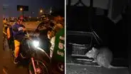 Rata fuga en pleno operativo de la policía a motocicletas en Trujillo y en redes bromean: “No tenía chaleco”