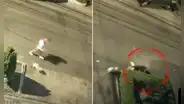 Joven aeromoza y su mascota sufren brutal ataque de rottweiler en Chorrillos: terminó con 32 puntos de sutura