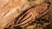 Descubrimiento arqueológico habría revelado el lugar de los restos del 'Arca de Noé', según estudio científico
