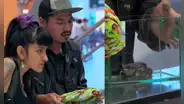 Pareja intentó tomar vuelo de Perú a México con un sapo como mascota y se vuelve viral : "Es nuestro hijo"