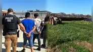 Atención, inmigrantes en EEUU: ICE realiza grandes operativos en las granjas de este condado de California