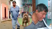 Peruano perdió los dos brazos y estuvo un mes en coma tras brutal ataque de 3 pitbulls: dueños no se hacen responsables