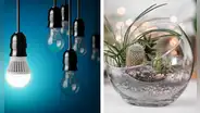 ¿Qué hacer con los focos quemados? Recíclalos y crea decoraciones ecoamigables para tu hogar