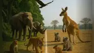 La enigmática línea invisible que los animales nunca cruzan: es frontera para miles de especies desde hace más de 150 años