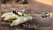 Ingenieros imprimieron un robot en 3D que camina con aire y sin electricidad, incluso bajo el agua