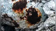 Estudio geológico descubre que los residuos industriales se están convirtiendo en roca tras tan solo 35 años