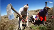¿El Día del Campesino es feriado en Perú? Regiones donde sí es descanso y qué dice El Peruano sobre esta fecha