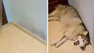 Joven explica la emotiva razón por la que no borra algunas manchas de su pared: "Son recuerdos"