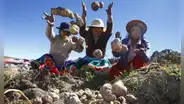 Día del Campesino 2025 en Perú: cuándo se celebra y cuál es su origen