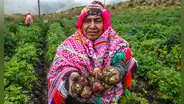 50 frases por el Día del Campesino 2025: los mejores saludos y mensajes para el 24 de junio