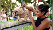 Lista de malls pet friendly en Lima: conoce los centros comerciales que aceptan mascotas