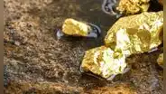 Mujer descubre yacimiento con siete toneladas de oro bajo su granja, pero el Estado le terminó arrebatando todo en Francia