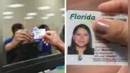 Florida restringe licencias de conducir a inmigrantes indocumentados: nueva ley confirma la limitación