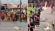 Perrito se queda dormido en pleno Inti Raymi y actores decidieron no molestarlo: “El favorito del inca”