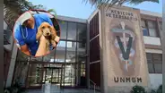 Clínica veterinaria San Marcos: cuál es el tarifario de precios, dirección y qué servicios ofrece para tu mascota