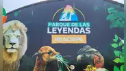Zoológico Huachipa: conoce los precios y quiénes tendrán pase libre