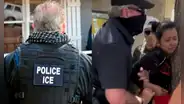 ICE detiene a vendedora ambulante de tacos en California: la inmigrante salvadoreña se aferró a un árbol para intentar evitar el arresto