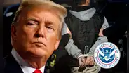 Masivo golpe de Trump: esta es la cifra total de arrestos migratorios de ICE por cada estado desde que comenzó su mandato