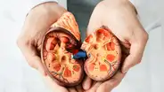 La enfermedad renal avanza en silencio: siete hábitos clave para cuidar tus riñones desde joven