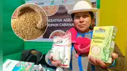 Disminuye producción de quinua en Puno por cambio climático: bajó más del 50%