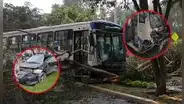 Violento choque entre corredor azul y auto en la av. Arequipa bloquea carril: árbol se cayó tras fuerte impacto