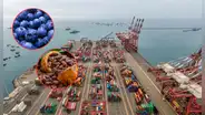 Exportaciones peruanas a Estados Unidos suben 18% pese a golpe arancelario