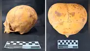 Arqueólogos resuelven el misterio de un cráneo con presunto aspecto ‘alienígena’ encontrado en Sudamérica