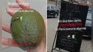 Peruano pide ensalada de palta en restaurante, pero le dan un fruto entero: “Buscó cobre y encontró oro”