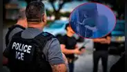Por terror a ICE, 2 inmigrantes se esconden en un refrigerador durante varios minutos y así salvarse de un arresto en California