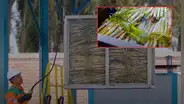 Etanol: el biocombustible peruano que quiere conquistar el transporte y la aviación del futuro
