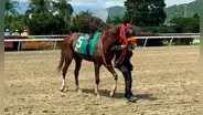Resultados 5y6 La Rinconada, 6 de julio: caballos ganadores, órdenes de llegada y cómo quedó el 2do paso de la triple corona