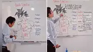 Profesor dibuja a personaje de Dragon Ball para enseñar el sistema digestivo y redes estallan: "Están viendo de dónde se genera el ki"