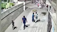 León escapa de una casa y ataca a una mujer junto a sus hijos en Pakistán: animal era tratado como mascota