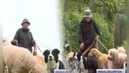 Joven peruano renunció su empleo en una fábrica y ahora gana S/3.000 paseando perros en Lima: "Es el trabajo ideal"