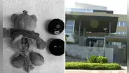 Profesoras maltratan a niños con síndrome de Down en colegio en España: grabadora oculta en peluche revela los abusos