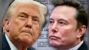 Elon Musk cuestiona a Trump por finalizar caso Epstein sin revelarse archivos: "¿Cómo tener fe en él si no los publica?"