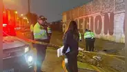 Adulto mayor muere arrollado por tren en el Callao: se habría quedado dormido sobre rieles