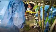 Investigan a padres tras muerte de bebé, enterrado en el patio de su casa en Junín, quien habría fallecido por asfixia