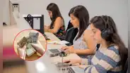 Este puesto en Perú está entre los peor pagados en Sudamérica, según Jobint: jefes siguen pidiendo lo mismo