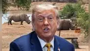 Gobierno de Trump inició deportaciones de inmigrantes de Cuba, Jamaica y otros más a un reino en África: "Sus países se negaron a recibirlos"